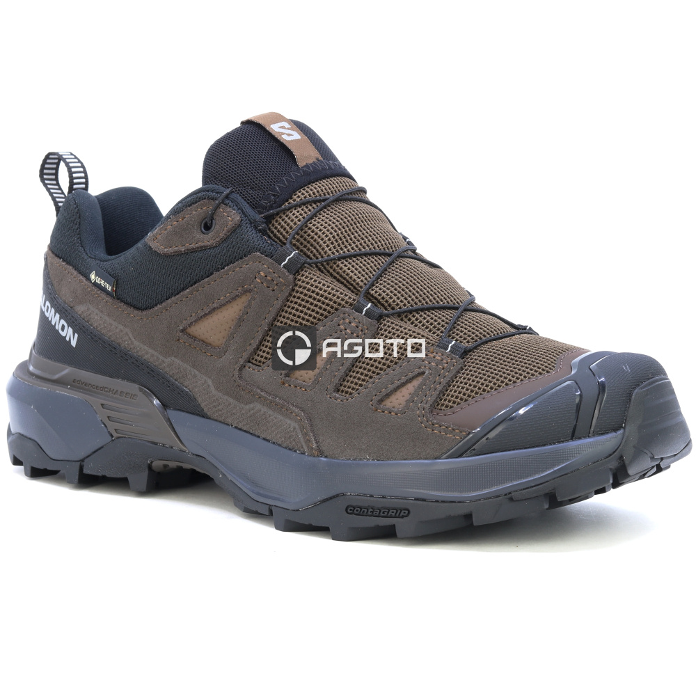 detail Wanderschuhe SALOMON X ULTRA 360 LTR GTX Dkeart