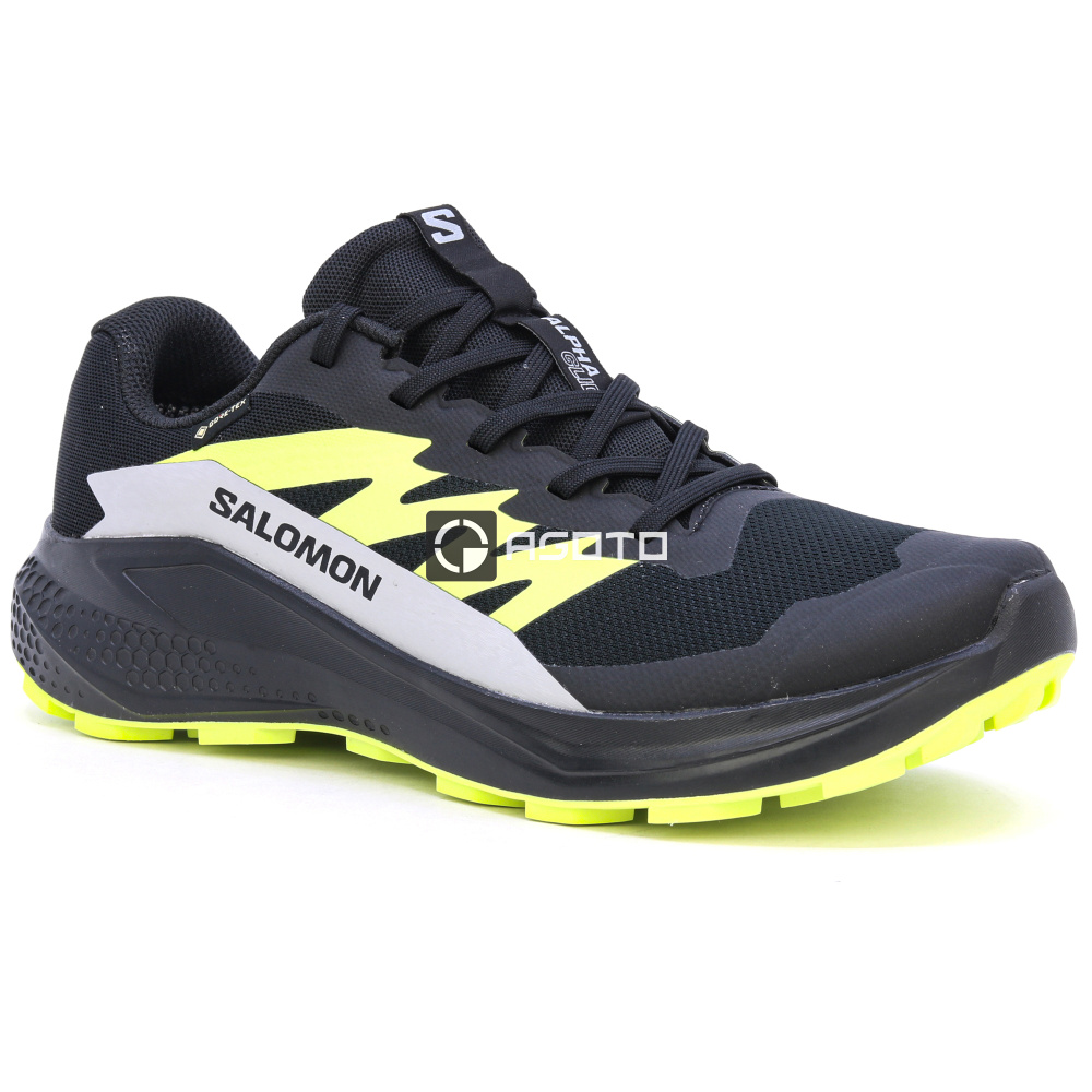 detail Wanderschuhe SALOMON Alphaglide GTX membrane Gore-Tex®