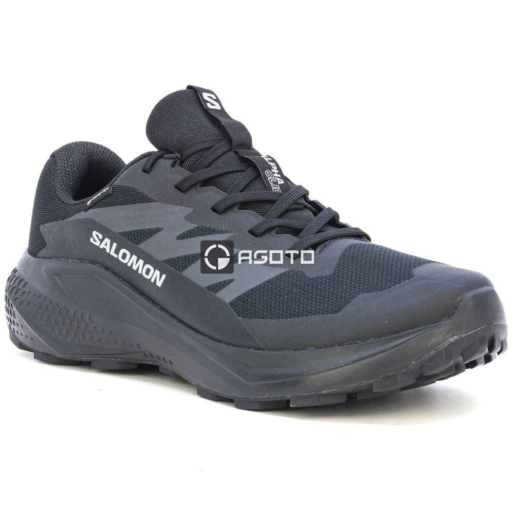 detail Wanderschuhe SALOMON Alphaglide Membran GTX Gore-Tex®