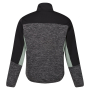 Vorschau Herren-Sweatshirt REGATTA Coladane VI